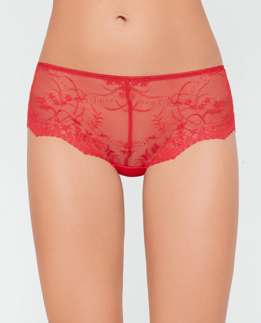 Aimer Lace Mid-rise Boyshorts - Image 13