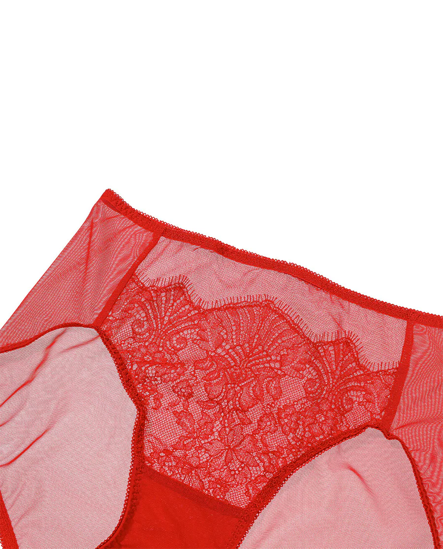 Aimer Mid-rise Mesh Boyshorts - Image 7