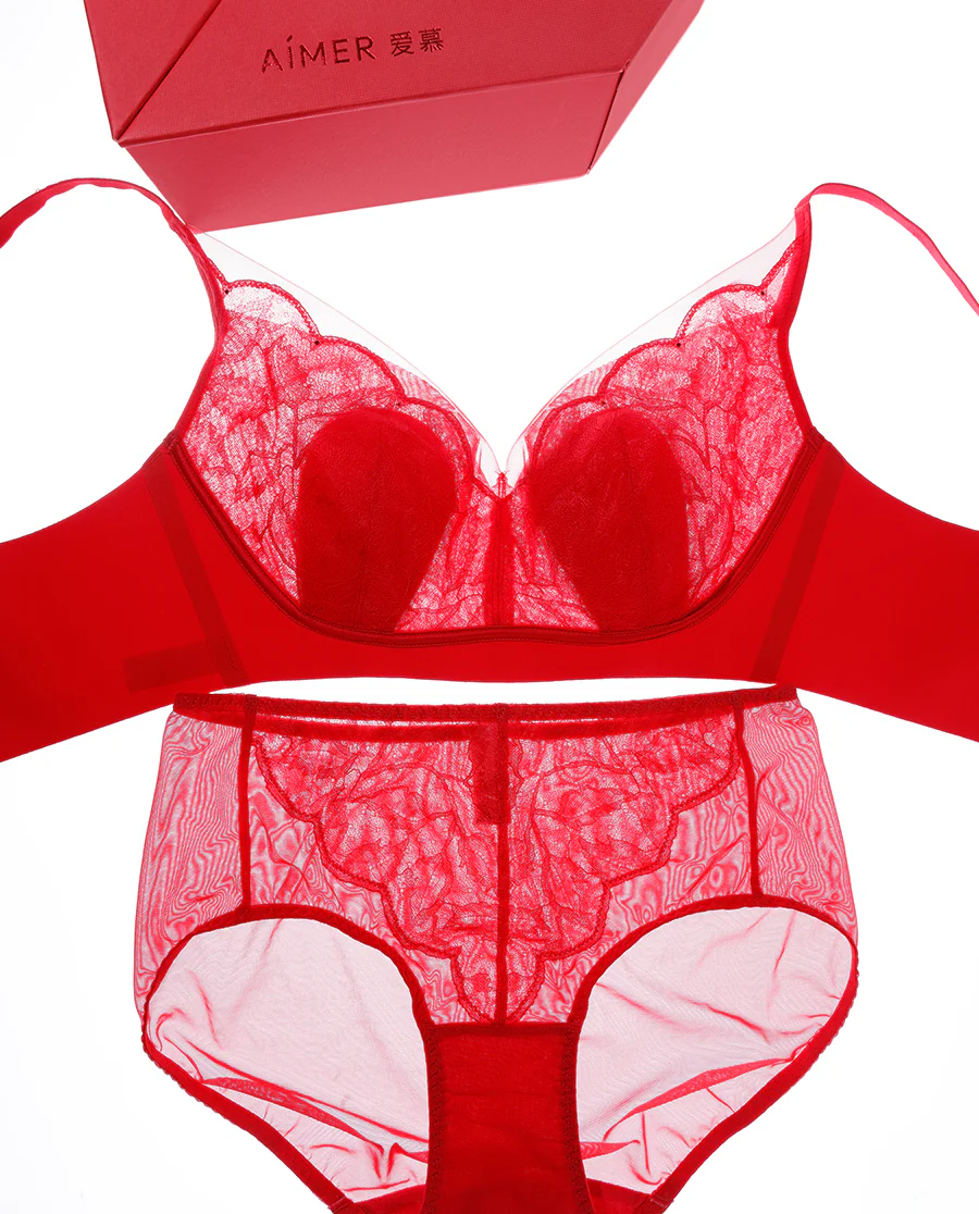 Aimer Wireless Bra & Panty Set with Storage Bag - Image 29